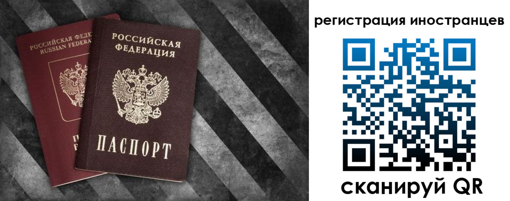 прописка для школы в Прохладном
